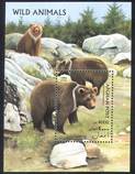 Afghanistan 1996 Bears Nature